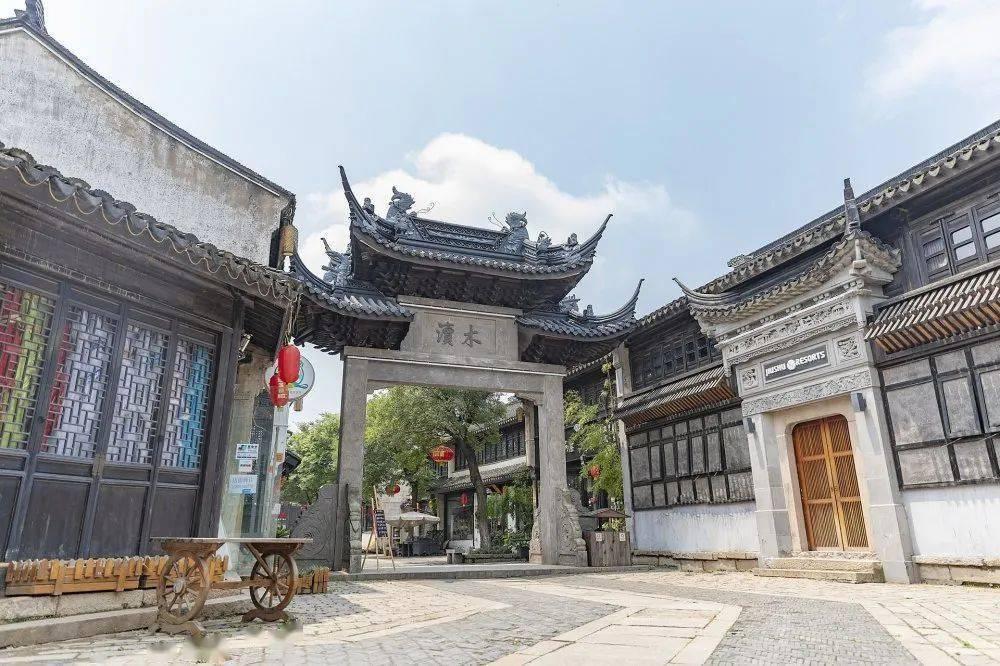 拯救精灵的土地8