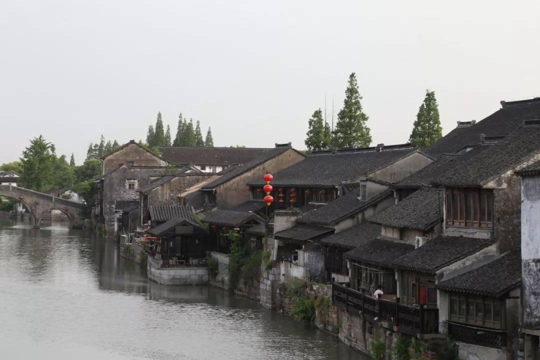 漂亮鹦鹉救援